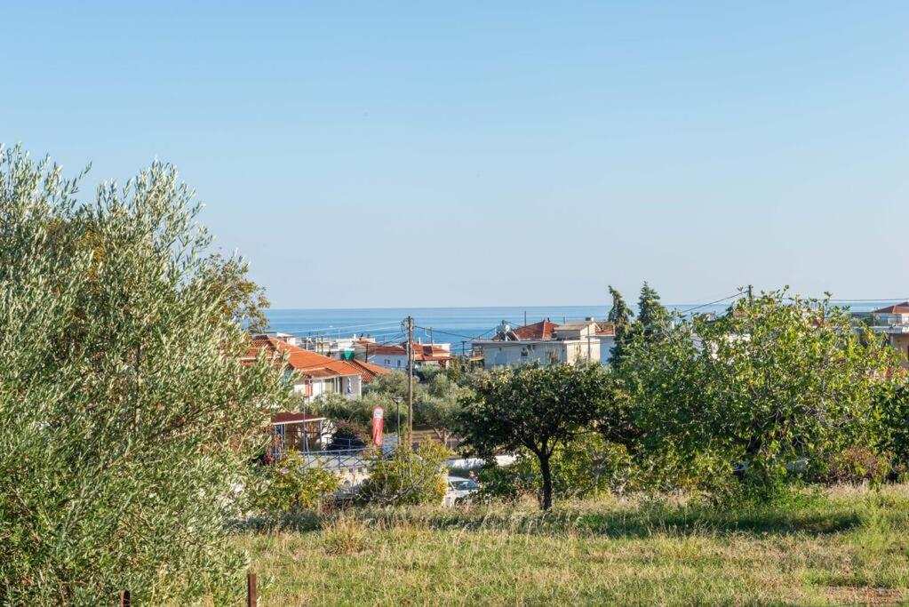 Όμορφο Παραθασυγκρότημα Ενοικιαζόμενων Καταλυμάτων Ως Ολόκληρος Χώρος - Chrani, Ελλάδαλάσσιο Διαμέρισμα Eksteriør bilde